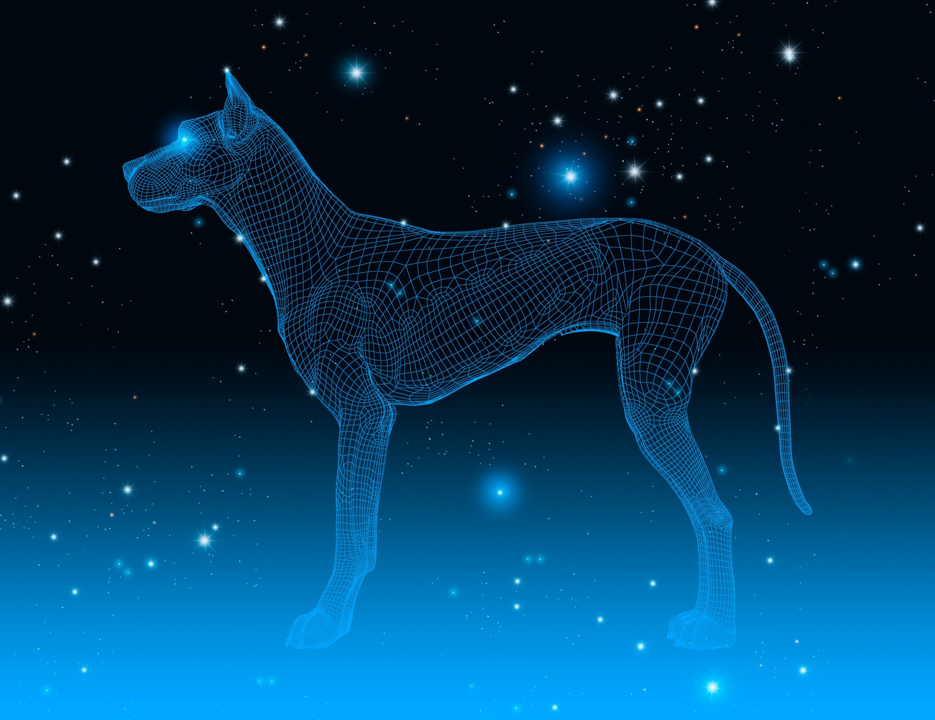 Drahtmodell Hund in einem dunklen Raum mit Sternen, Konstellation Symbol, 3D-Illustration